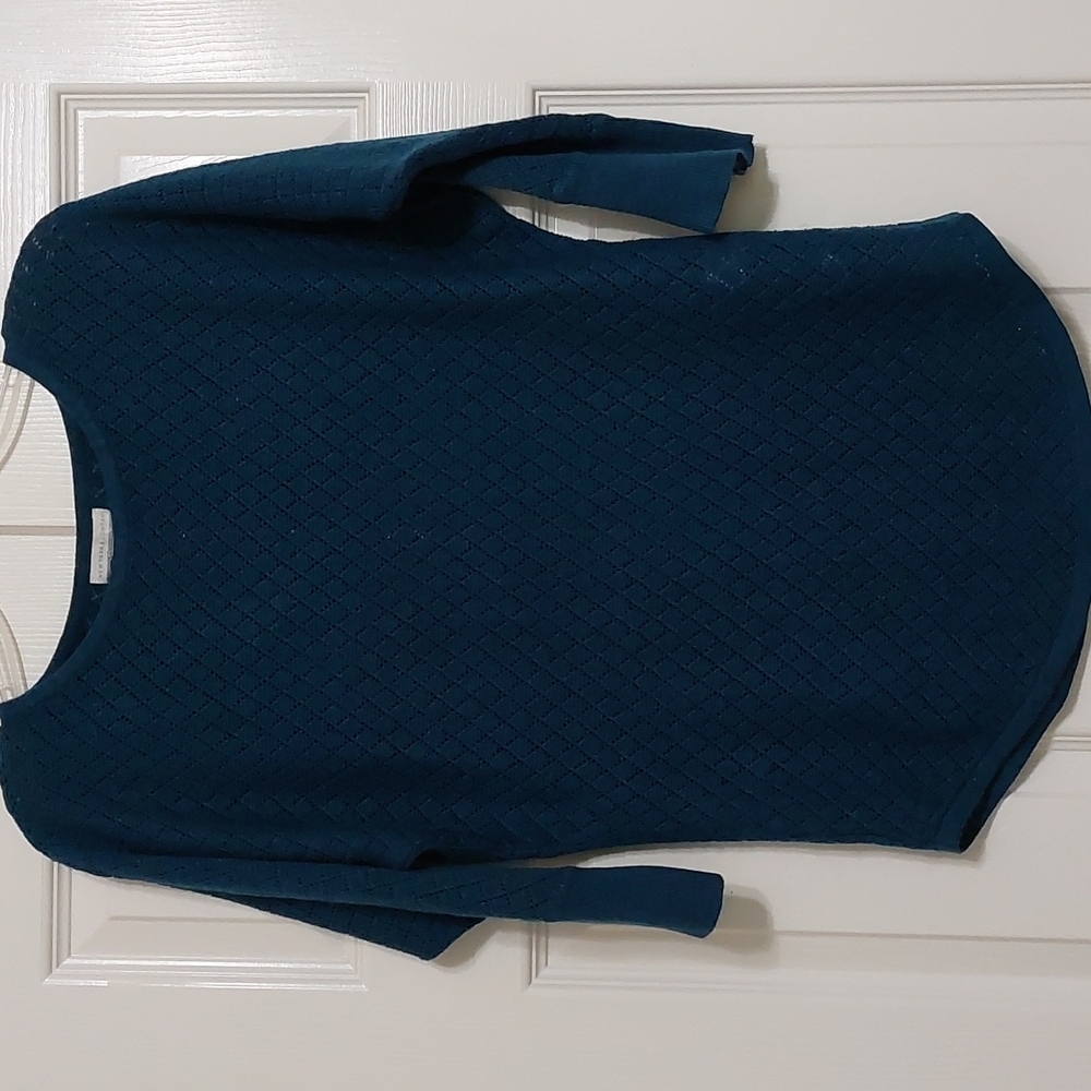 New York & Company blue crew neck thin sweater